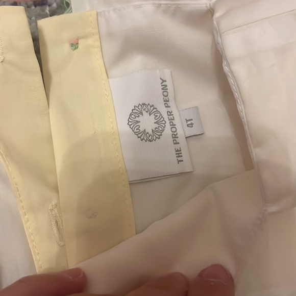 Proper Peony Floral Trim Pleat Dress - Picture 8 of 10